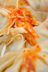 Close up of Chinese dumplings