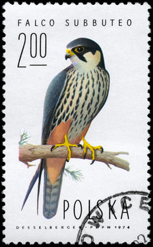 POLAND - CIRCA 1974 Falcon