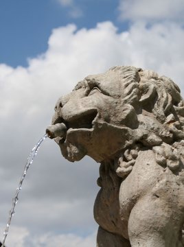 Fontana testa di leone