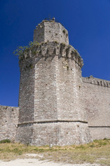Fototapeta na wymiar Albornoz fortress. Assisi. Umbria.