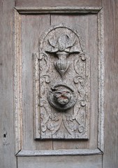 Antique relief in wood with bark beetle marks