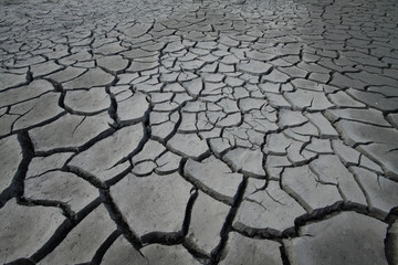 arid lands with cracks