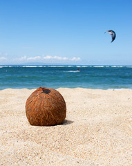 Coconut