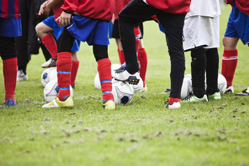 Fototapeta premium Young soccer players