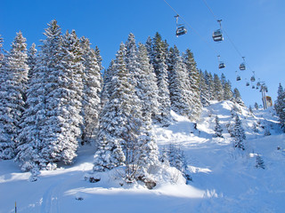 Winter in the alps