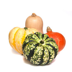 Selection of deorative gourds or squashes