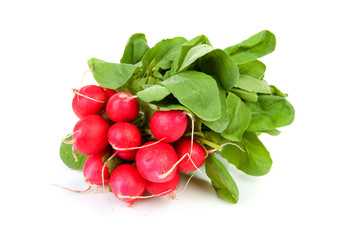 bunch of fresh rasish over white background