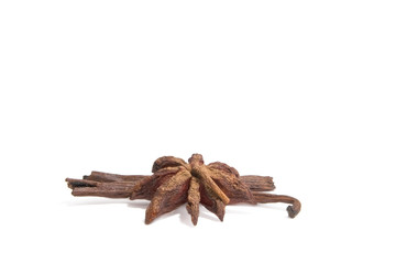 Illicium and Vanilla isolated on white