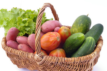 panier à légumes_02