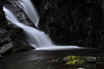 Green vegetation by the waterfall