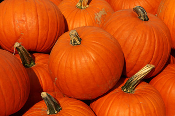 Kürbis Pumpkins Halloween