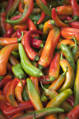 piments exotiques épicé brulant