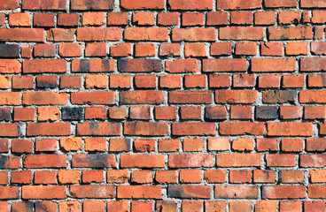Fototapeta premium brick wall