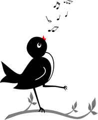 MOINEAU CHANTEUR