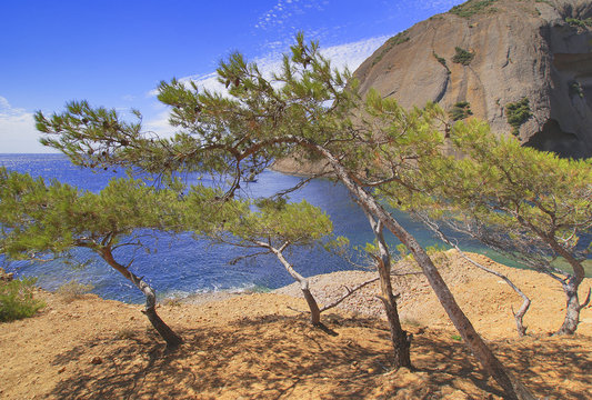 Calanque de Mugel, La Ciotat,  Bouches du Rhon&eacute;,  Frankreich