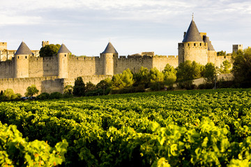 Carcassonne, Languedoc-Roussillon, France - obrazy, fototapety, plakaty