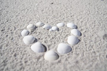 Herz aus Muscheln