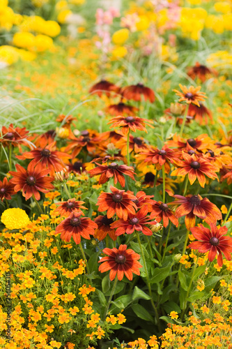 "Blumengarten" Stockfotos und lizenzfreie Bilder auf Fotolia.com - Bild