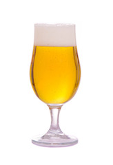 glass of beer on a white background