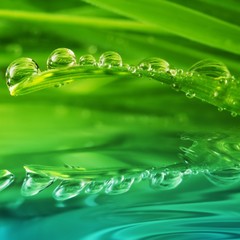 Panele Szklane Podświetlane  Świeża zielona trawa z kroplami wody odbijającymi się w wodzie