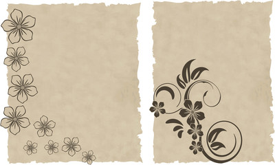 the old paper vector grunge background