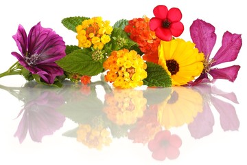 Blütenarrangement (Mitte: Wandelröschen / Lantana)