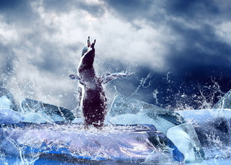 Pinguin auf dem Eis in Wassertropfen.