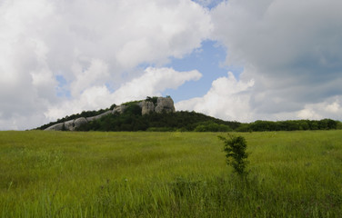 Crimean vale