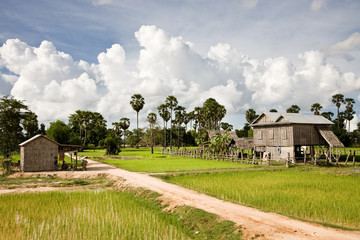 Rural area, Battambang, Cambodia