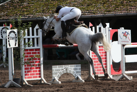 Springreiten