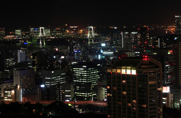 Fototapeta na wymiar View of Tokyo at night