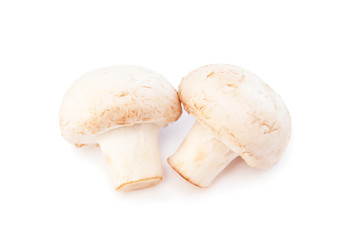 Champignons