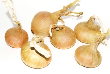 onion