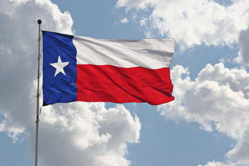 Texas flag - 25614020