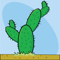 Cactus