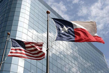 American and Texas flags - 25614078