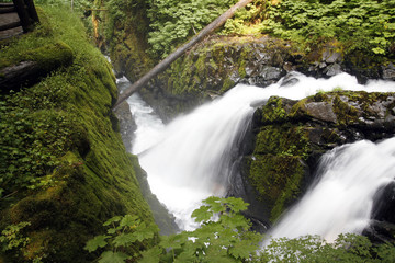 A water fall view in the rain forest.