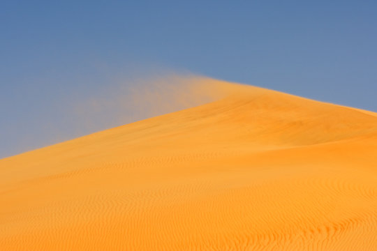 Wind on Dune