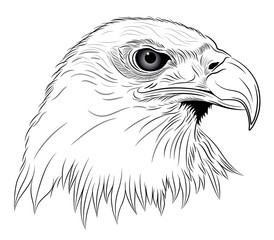 Naklejka premium Eagle in the form of a tattoo