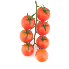 Branch of cherry tomatoes on white background.