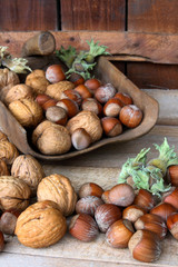 noci e nocciole in paletta di legno