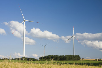 landscape with windmill