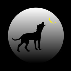 dog barking at the moon