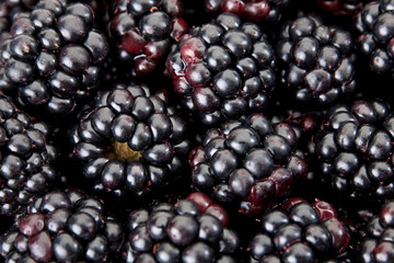 Blackberry berry