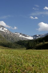 Val di Fex - Panorama