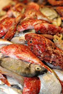 Remaining and assorted fishes sold at Palma de Mallorca