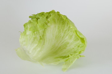 Blatt Eisbergsalat