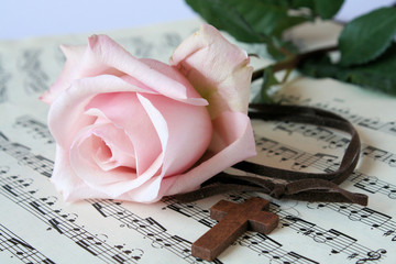Rose an Notes
