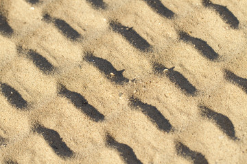 Pattern in the Sand