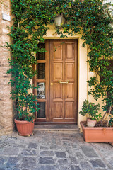 Fototapeta na wymiar Drewniane drzwi.